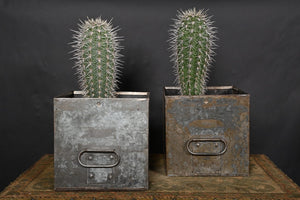 US Army Canteen boxes repurposed as planters