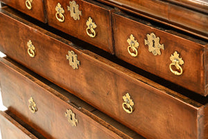 Chest of drawers : William & Mary : Walnut