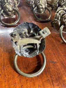 A set of eight Lion Head draw pulls