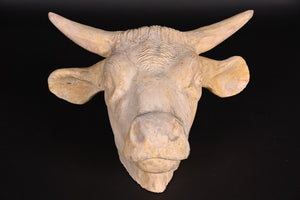 Painted Ceramic Bulls Head