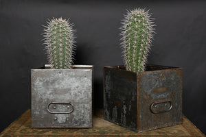 US Army Canteen boxes repurposed as planters