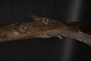 Extraordinary Punt Gun elements stock & fore stock