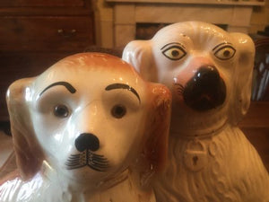 Three Staffordshire Pottery King Charles Dogs